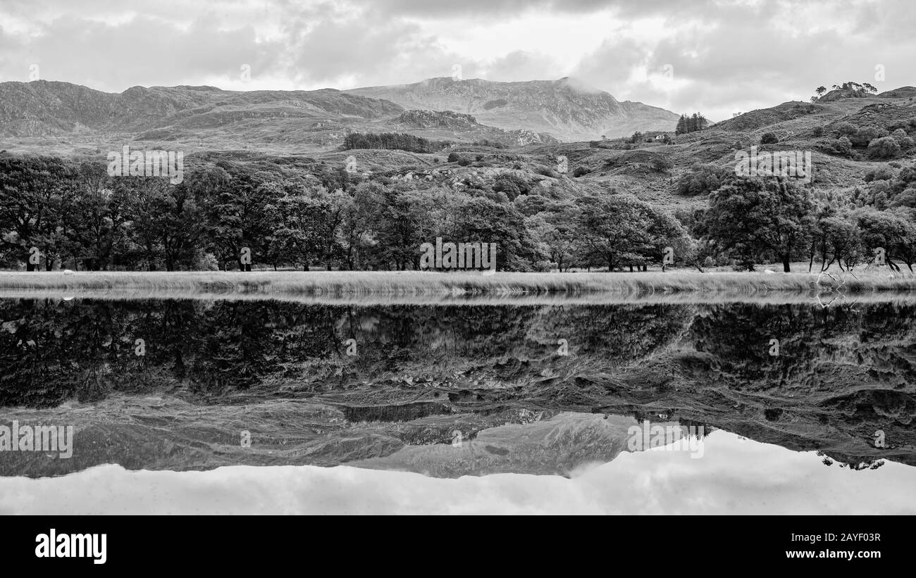 Reflections on Llyn Dinas Stock Photo