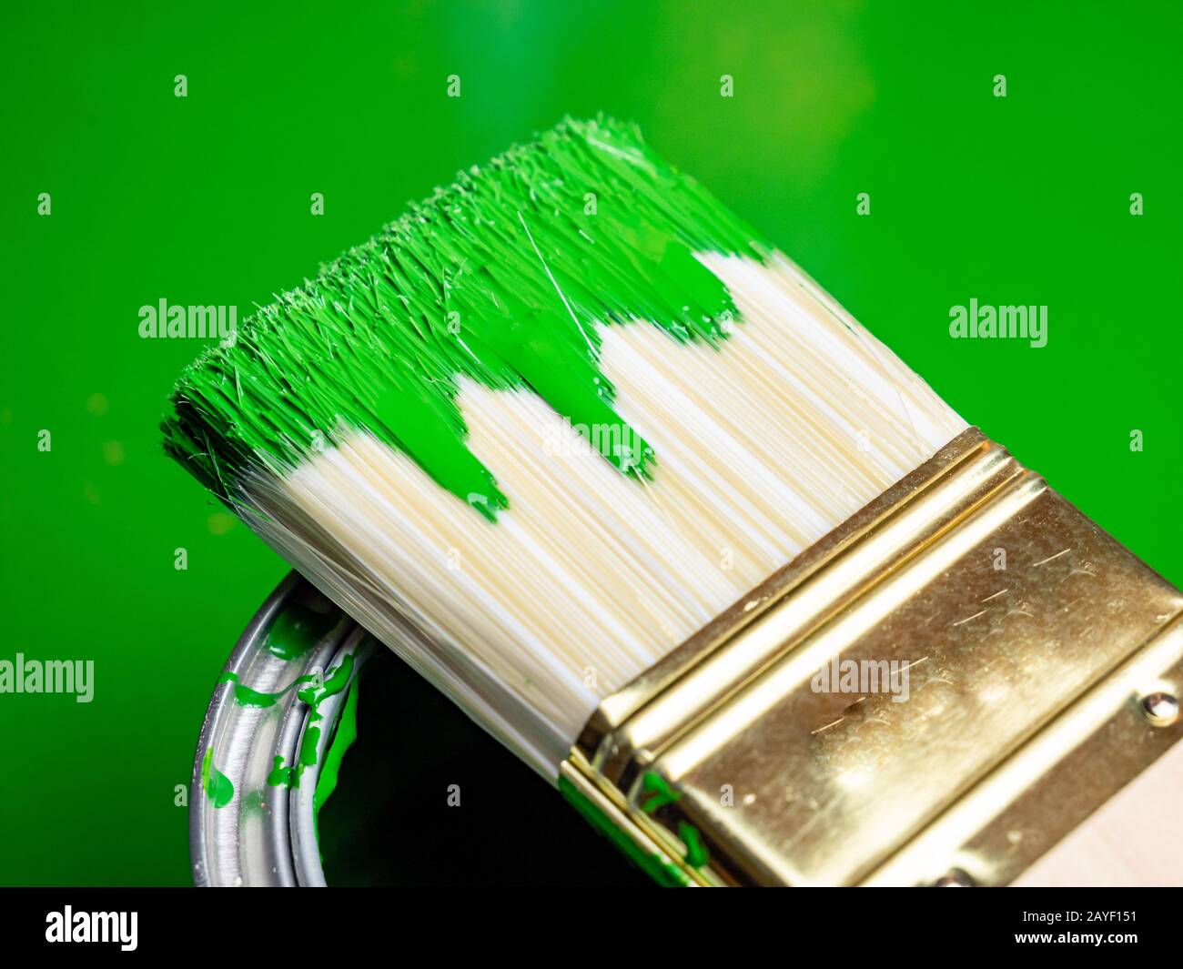 Color brush with green color Stock Photo