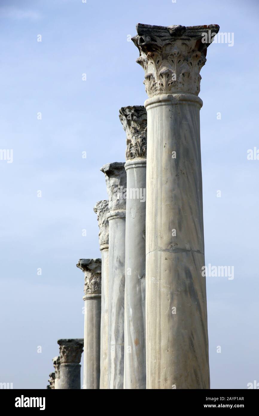 Archaeological site of the ancient city of Salamis Stock Photo