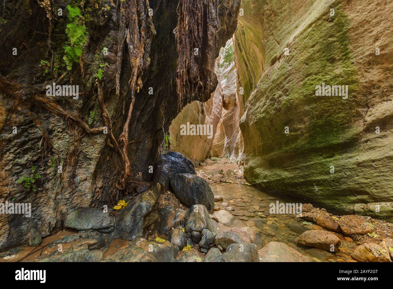 Paphos cyprus water park hi-res stock photography and images - Alamy