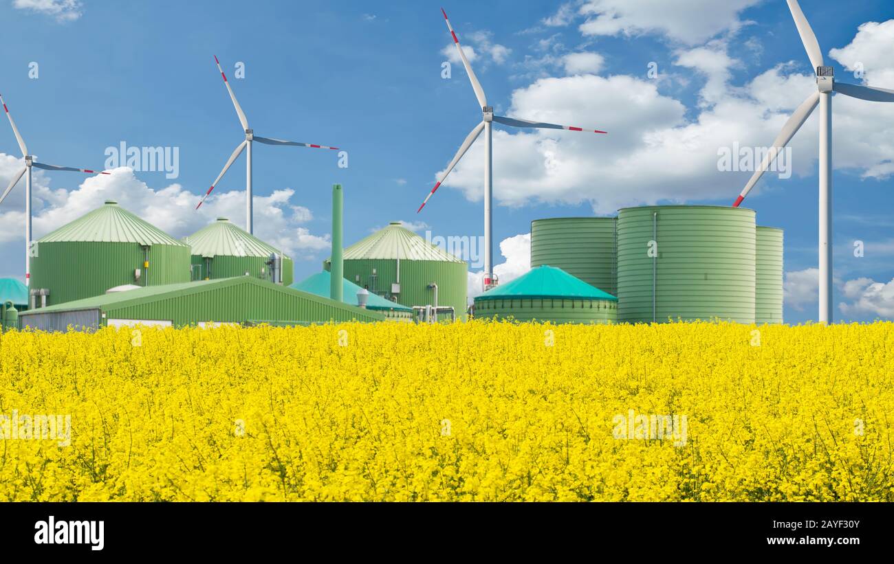 Biogas plant stands behind a rape field with blue sky Stock Photo