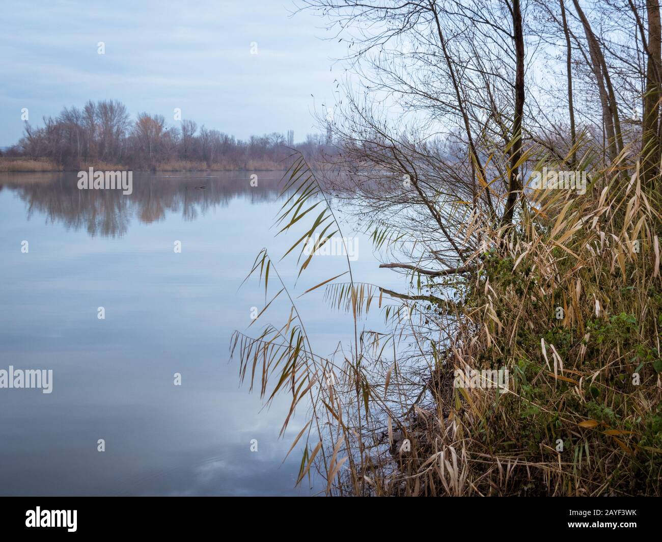 Winter landscape on a lake Stock Photo