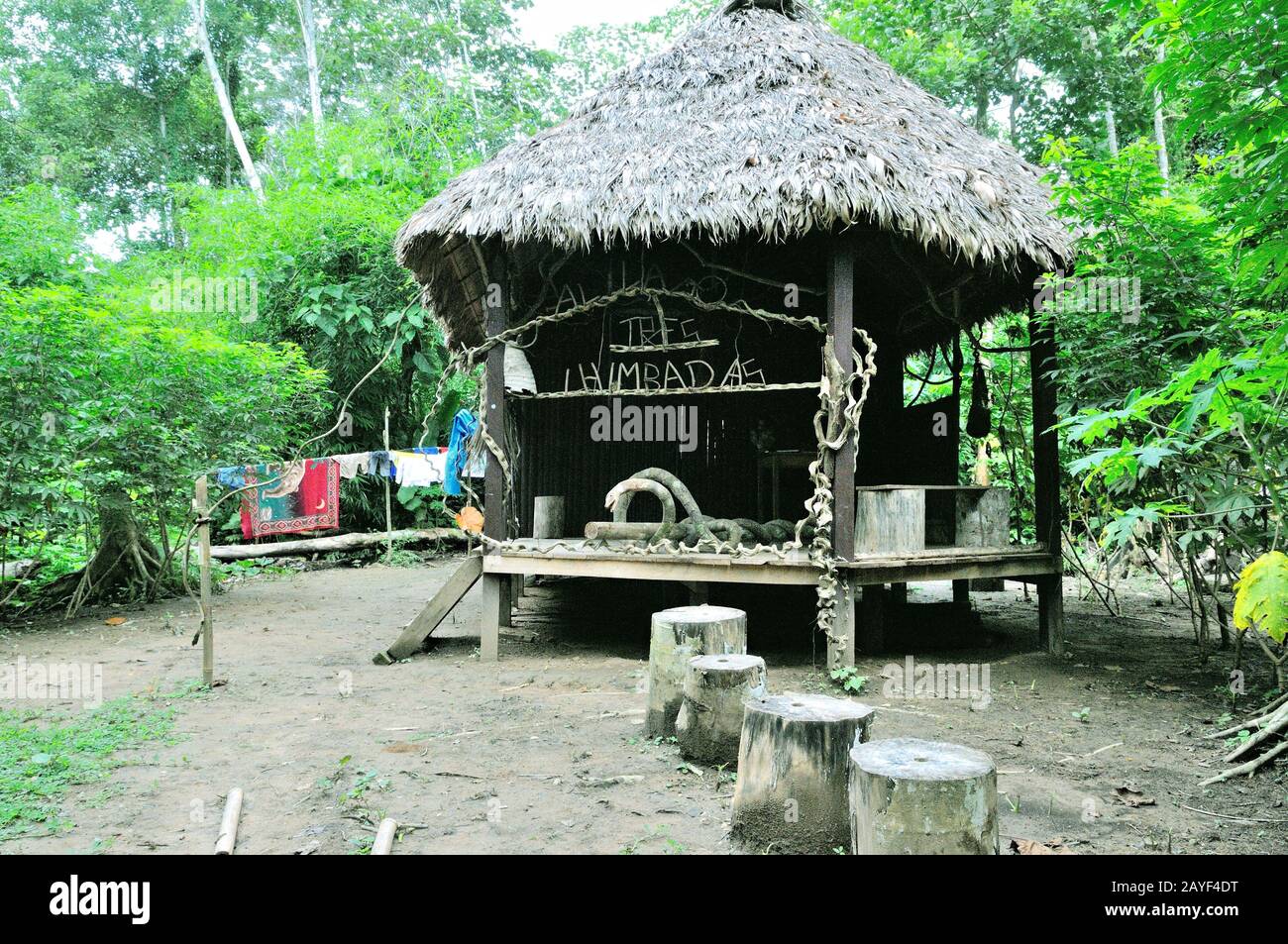 Straw hut in the rainforest of Peru Stock Photo