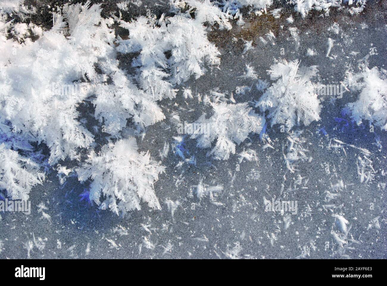 Ice surface with large fluffy snowflakes, natural organic background, top view Stock Photo - Alamy Ice surface with large fluffy snowflakes, natural organic background, top view Stock Photo - Alamy