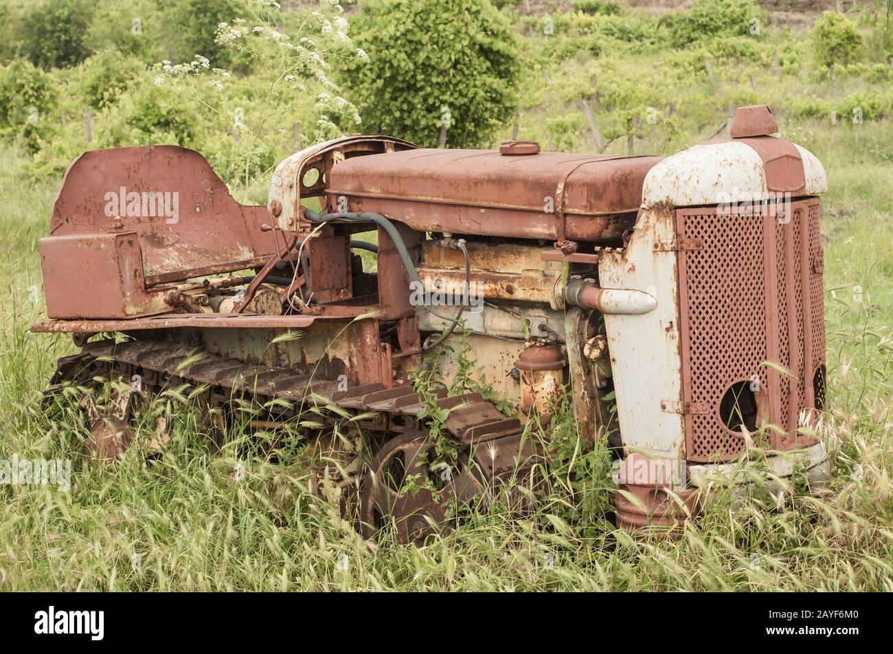 Old neglected rusty small vintage caterpillar tractor on green meadow Stock Photo
