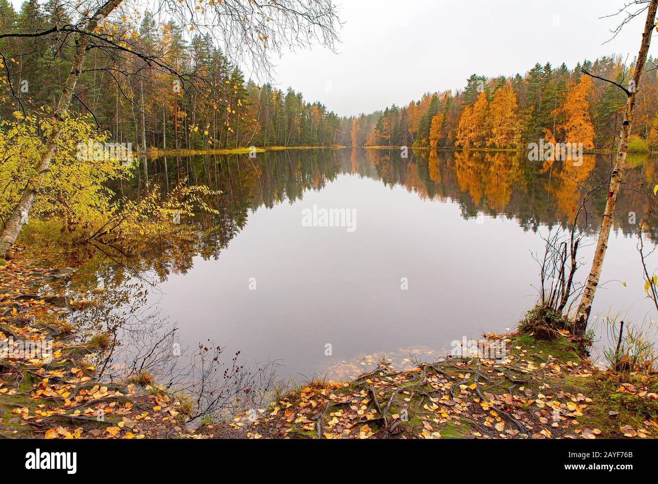 Finnish lake with mirror image in autumn Stock Photo