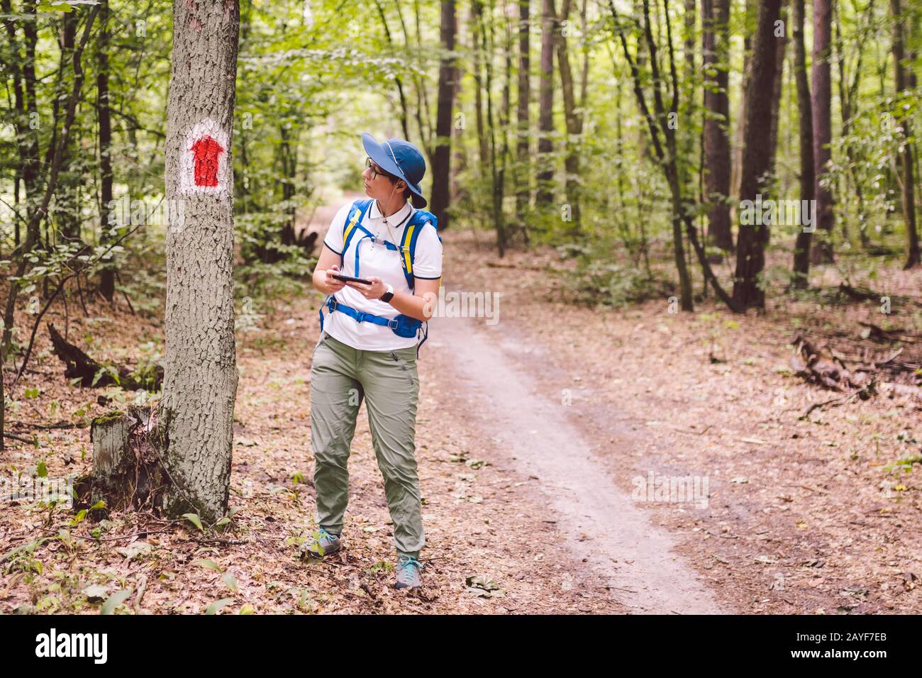Hiking marked trail in the forest. Marking the tourist route painted on the tree. Touristic route sign. Travel route sign. Touri Stock Photo