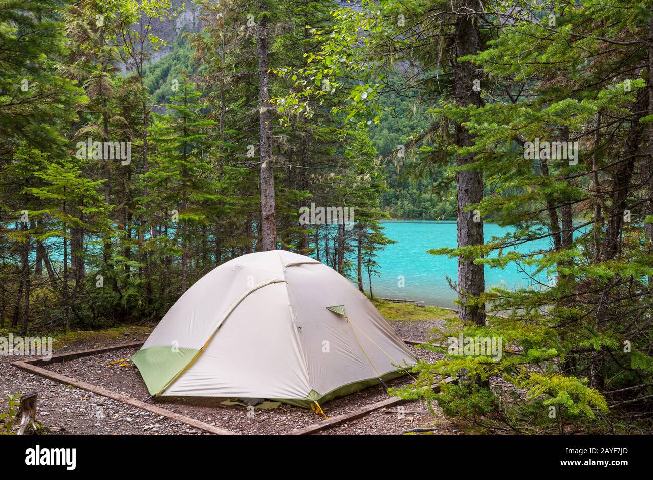 Tent in the forest Stock Photo - Alamy