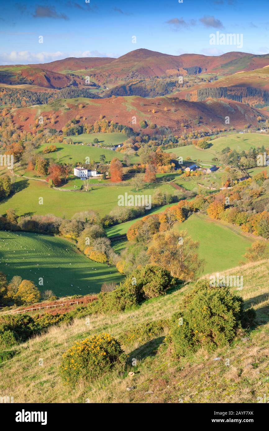 The view from Castell Dinas Bran on the Panorama Walk near Lllangollen in North Wales with the Berwyn Mountains in the distance. Stock Photo