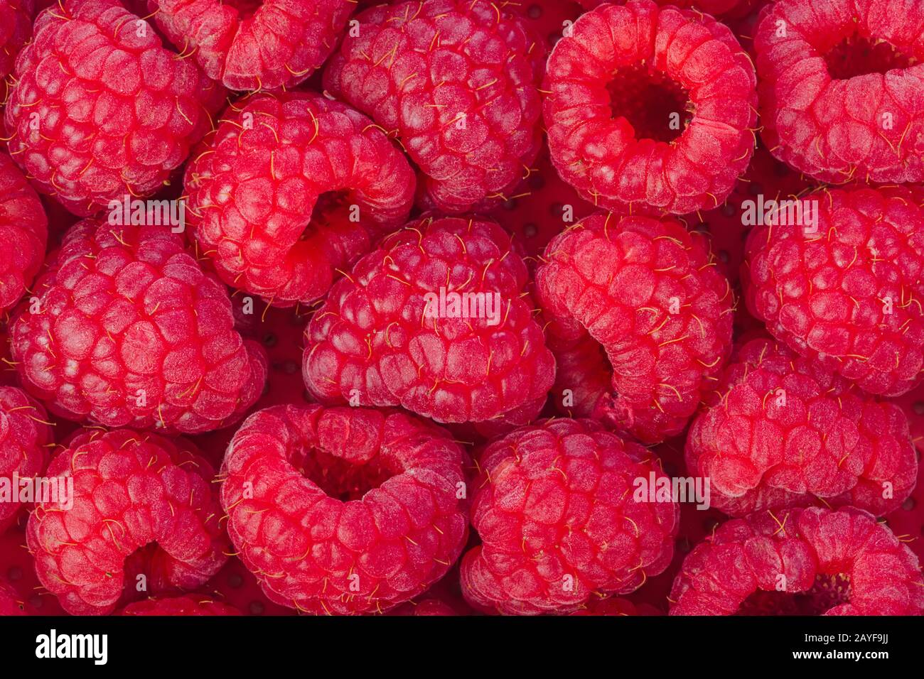 Raspberry background Stock Photo