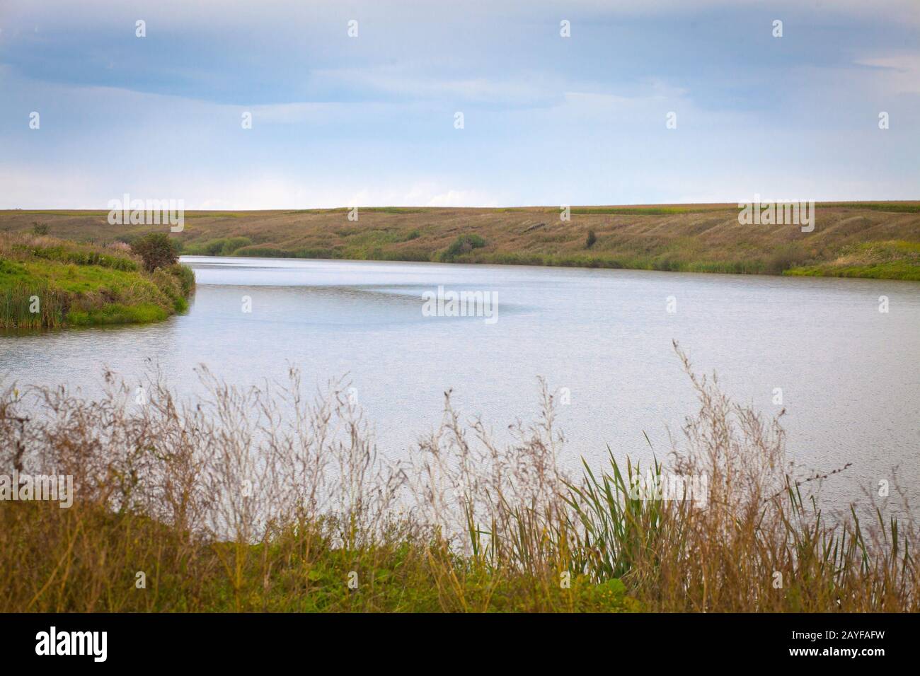 summer landscape with river, sky and surrounding plants Stock Photo - Alamy