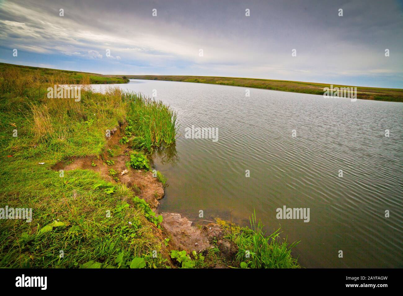 summer landscape with river, sky and surrounding plants Stock Photo - Alamy