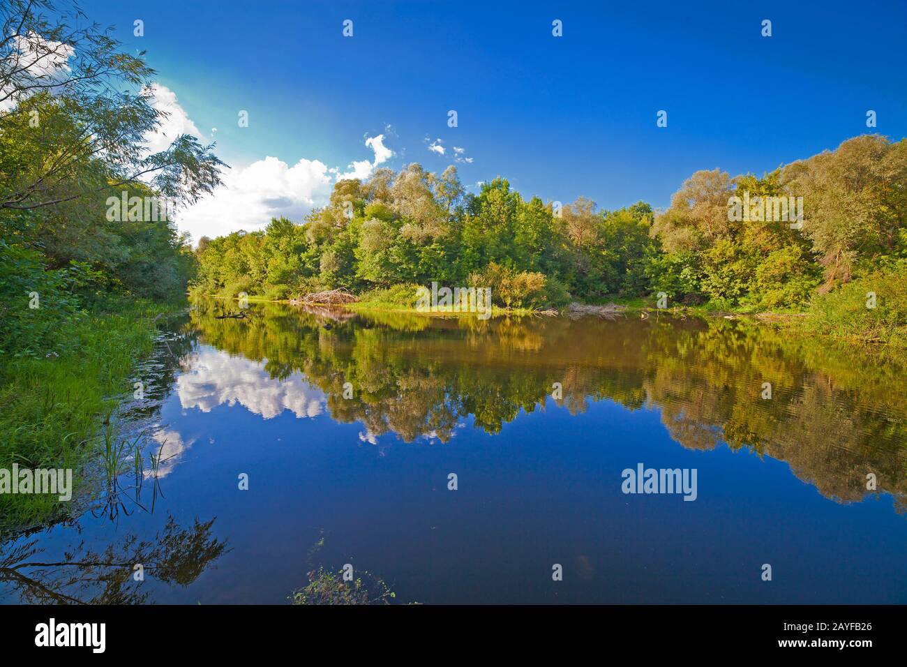 summer landscape with river sky and surrounding plants Stock Photo - Alamy