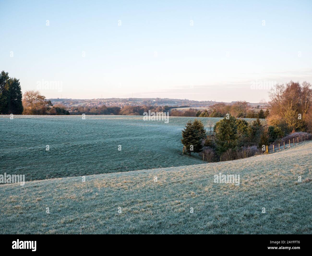 Frosty field Stock Photo