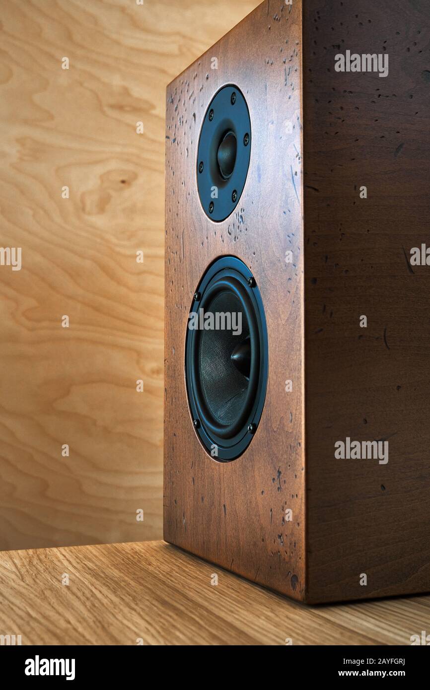 Diy Bookshelf Speaker Standing On A Table Against The Plywood Wall