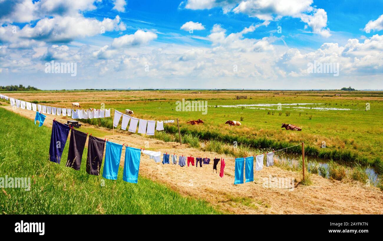 Typical dutch flat polder landscape with laundry on a clothsline drying in the sun. Waterland, North Holland, The Netherlands. Stock Photo