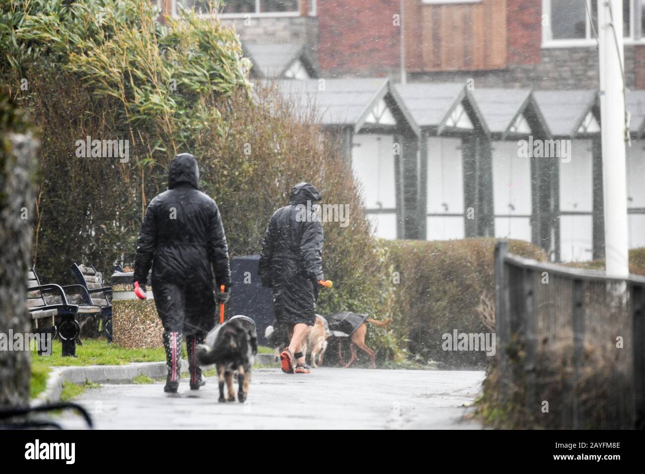 Robert rais hi-res stock photography and images - Alamy