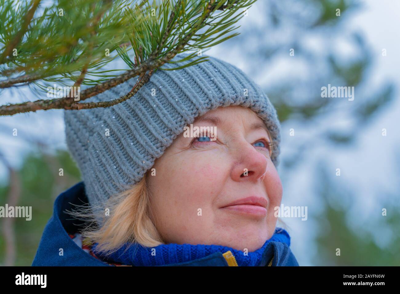 Female wearing blue knitted hat. Cheerful mature woman smiling. Outdoors cold weather portrait. Face close up. Pine tree background Stock Photo