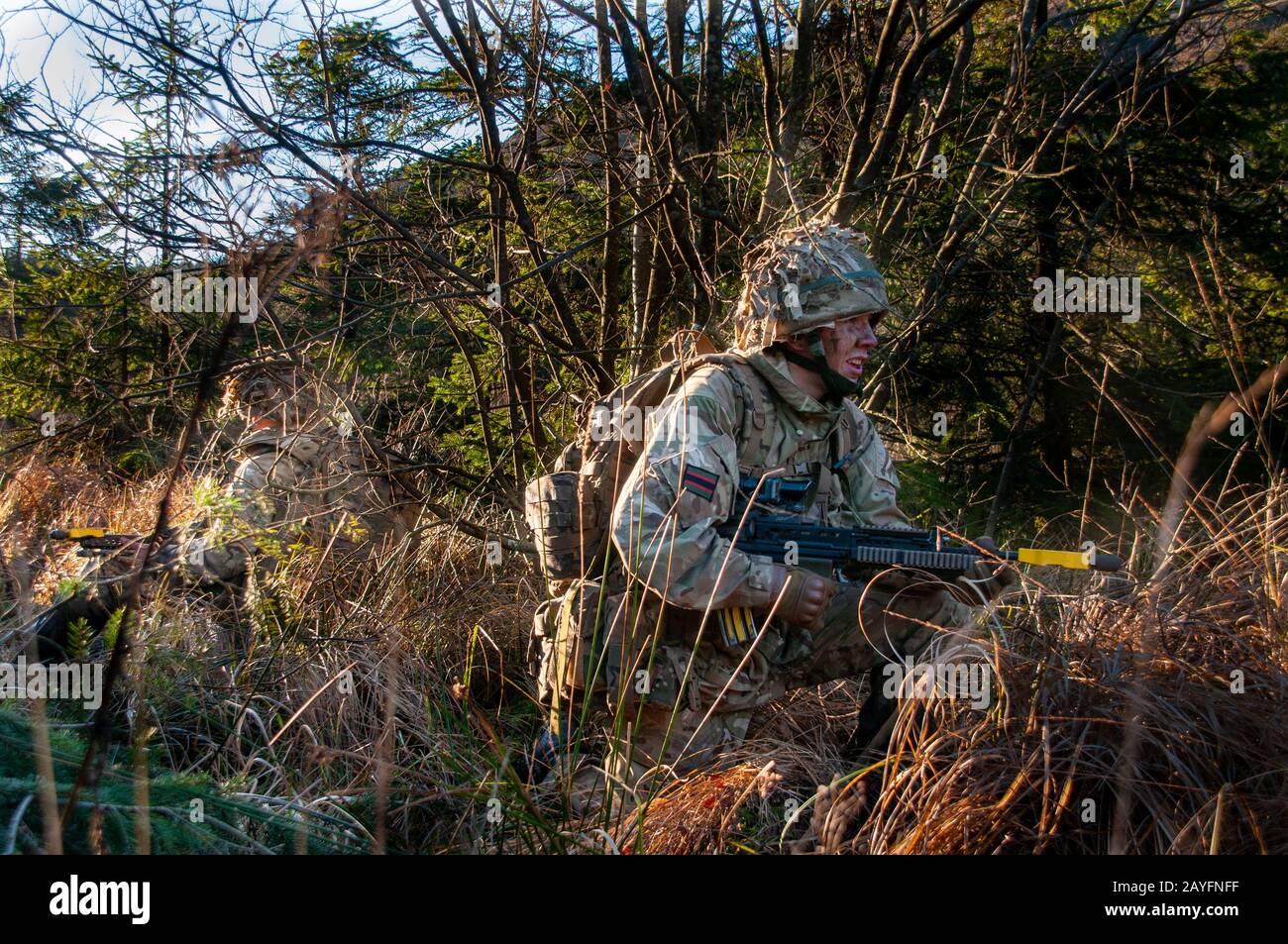 British Army troops from the 3rd Battalion, The Rifles on a training exercise on Kirkcudbright Training Area, Dumfries and Galloway southwest Scotland Stock Photo