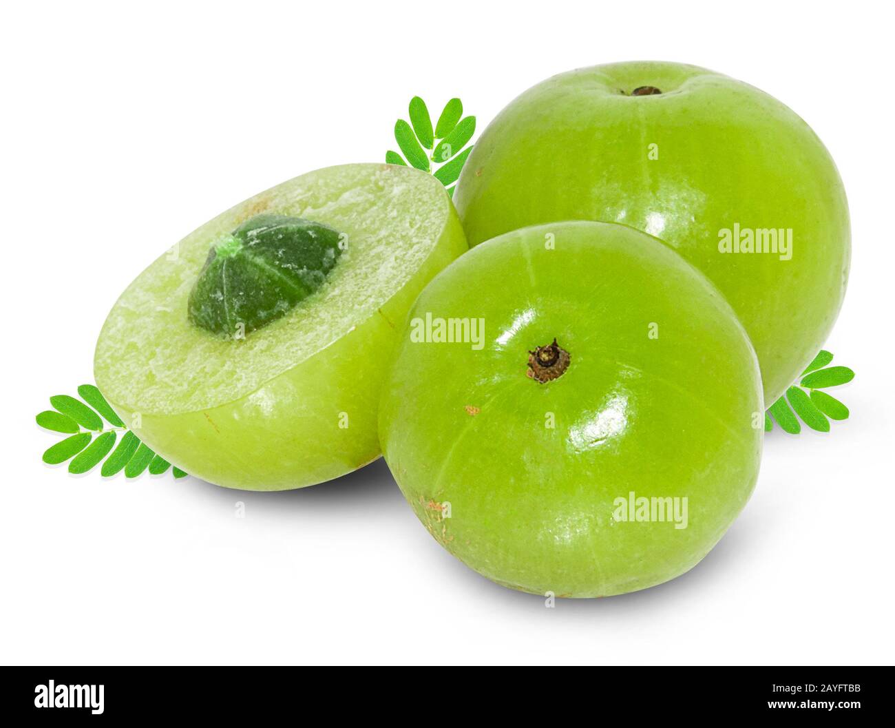 Amla green fruits ,Phyllanthus emblica isolated on white background. This has clipping path. Stock Photo
