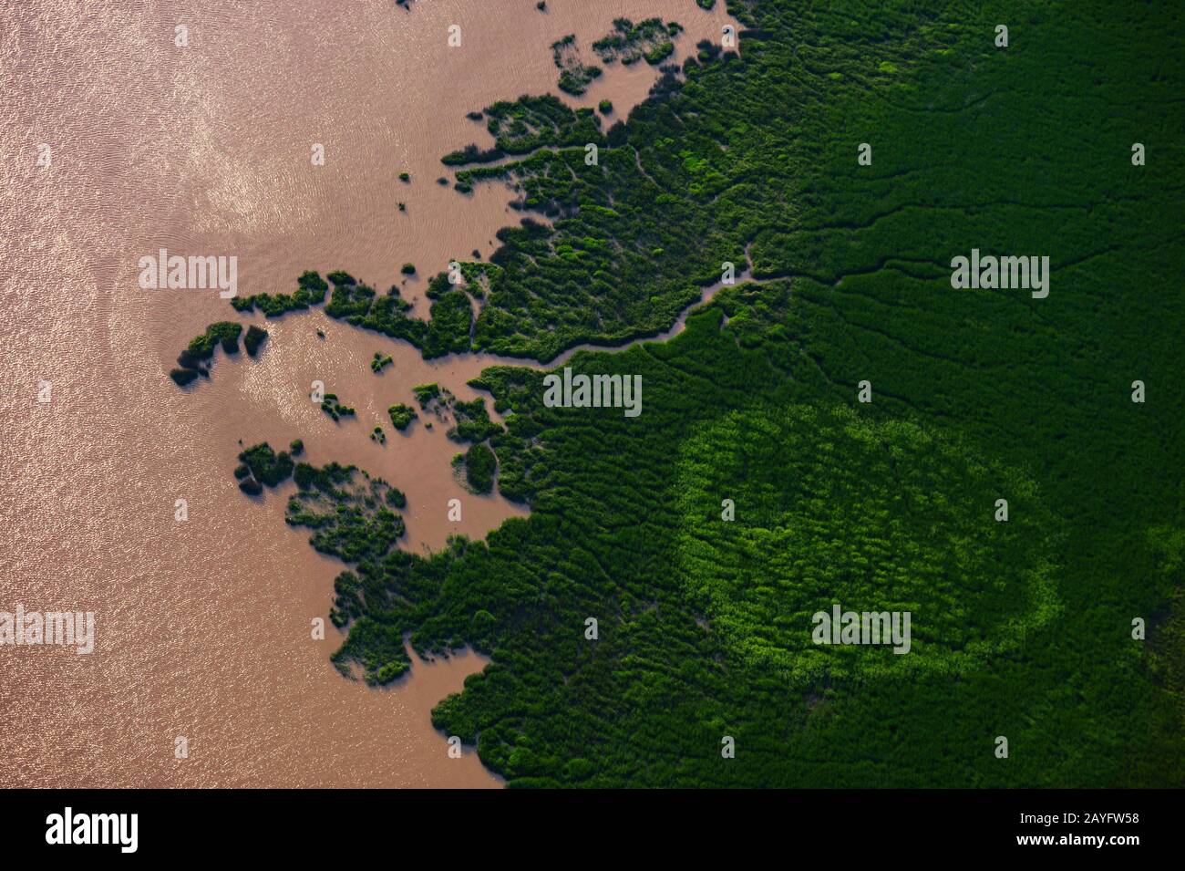 arial view of flooded Elbe lowlands, Germany, Schleswig-Holstein Stock Photo