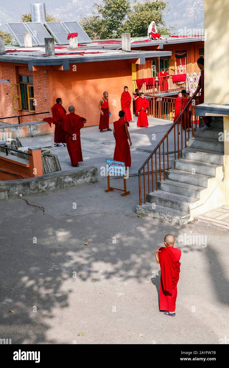 group of young monks in Nepal Stock Photo