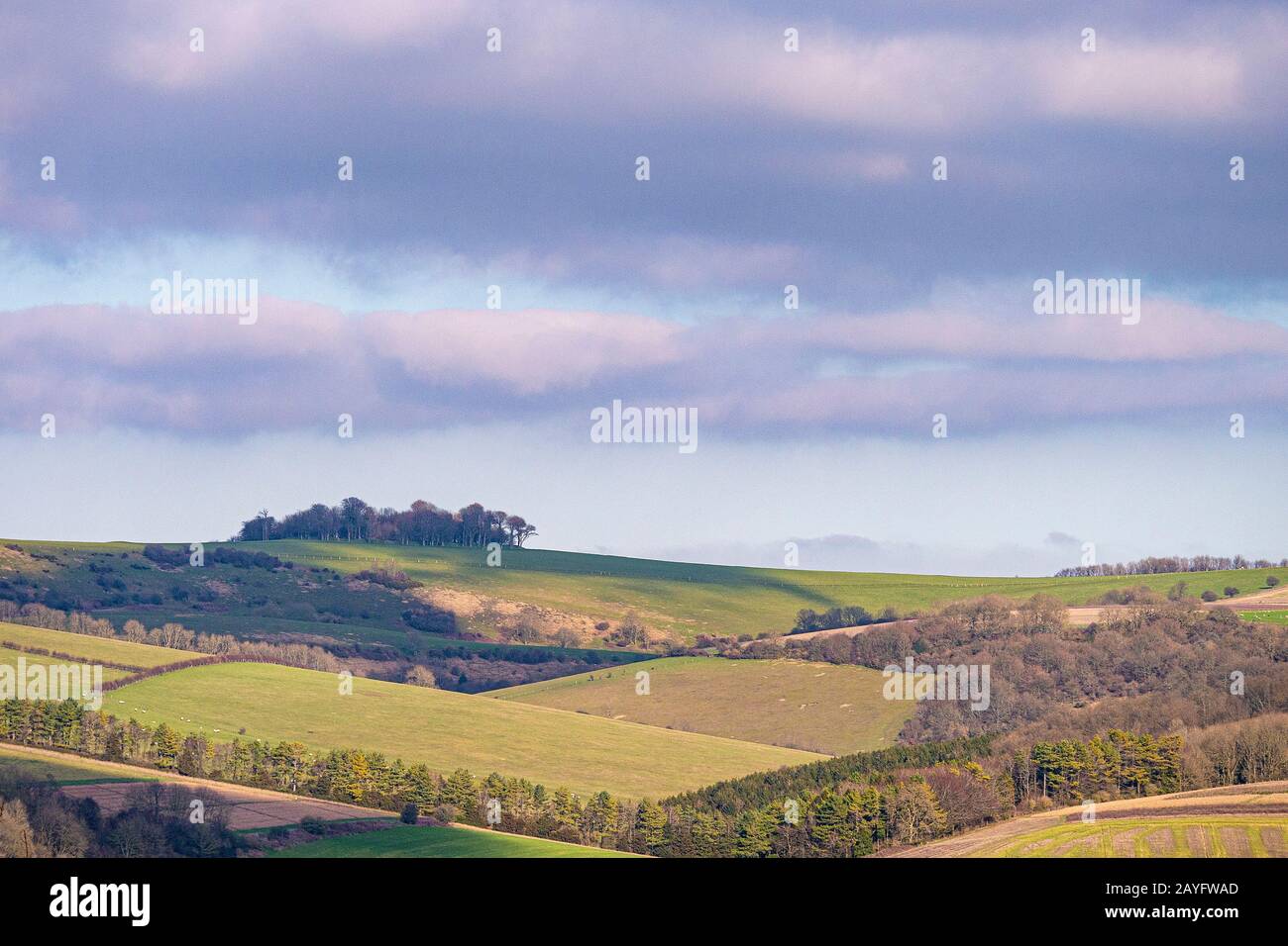 Chanctonbury Ring, recognisable from the crown of treeson the skyline, overlooks the South Downs National Park in West Sussex, southern England, UK. Stock Photo