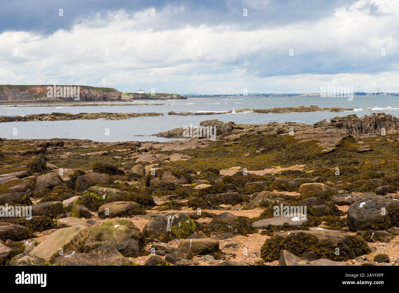 St Mary's Island, Northumberland Stock Photo