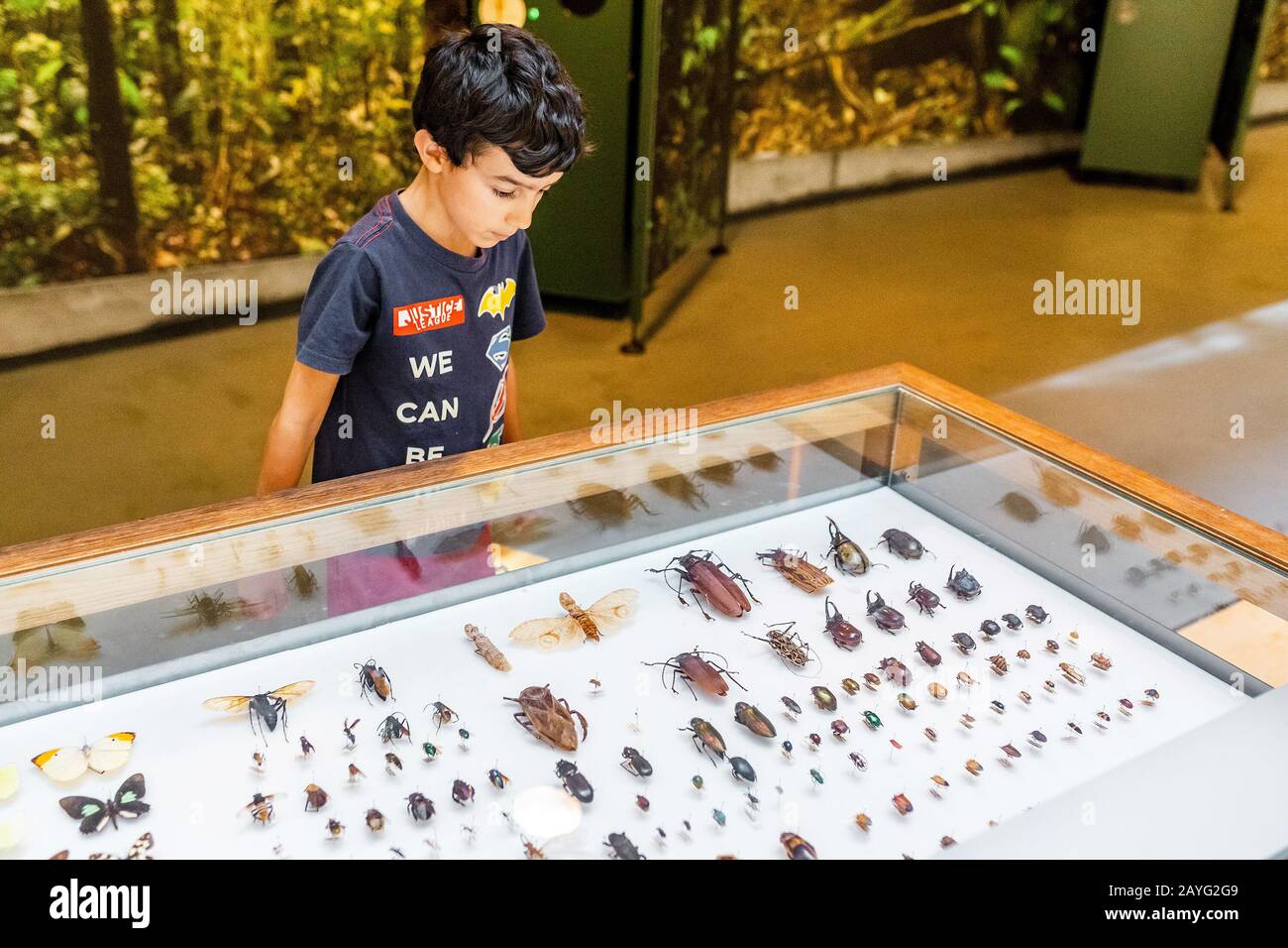 28 JULY 2018, BARCELONA, SPAIN: Visitors walk in the Cosmocaixa Museum in natural history section Stock Photo