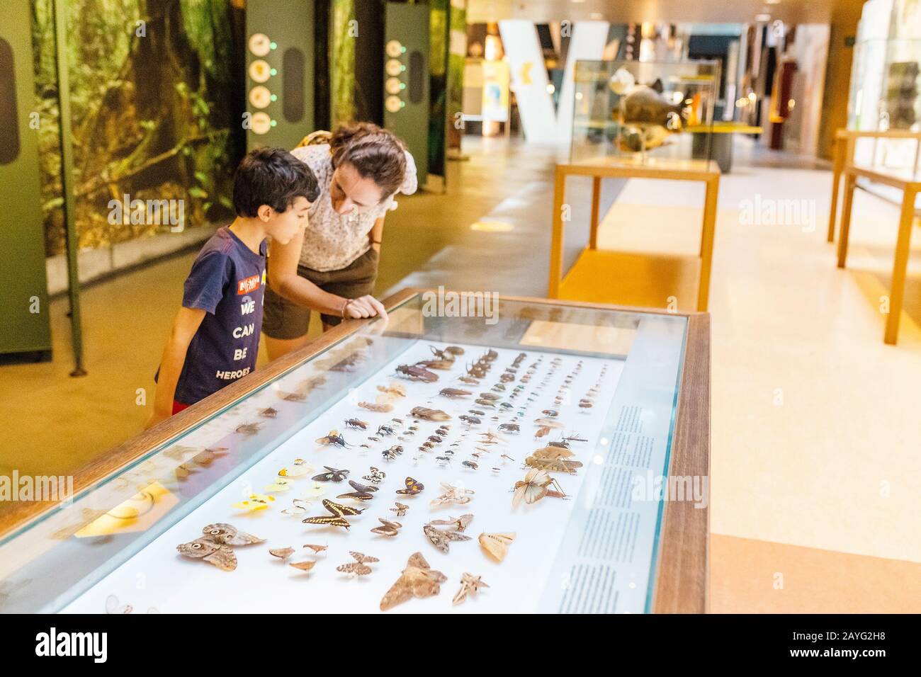 28 JULY 2018, BARCELONA, SPAIN: Visitors walk in the Cosmocaixa Museum in natural history section Stock Photo