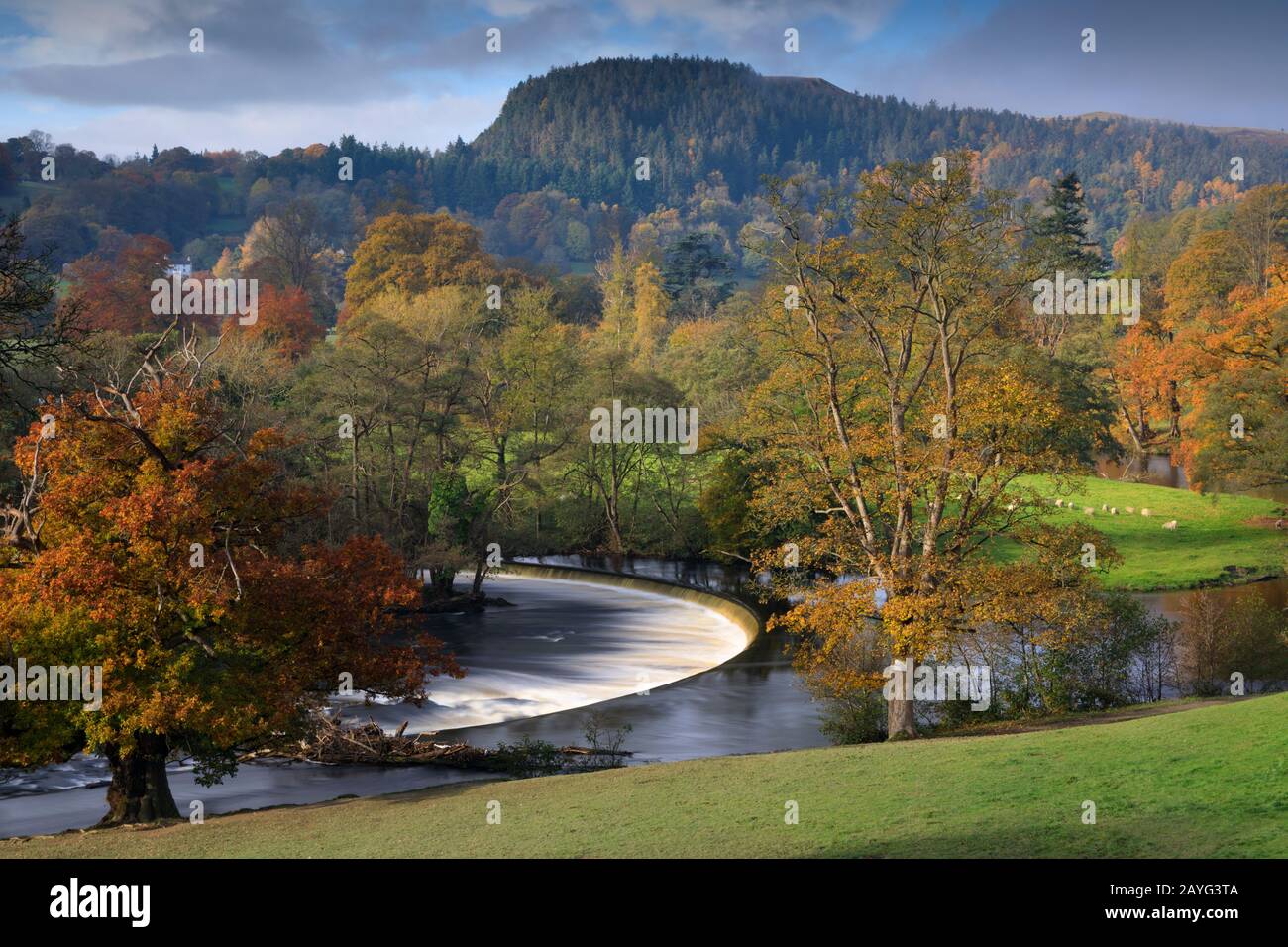 Horseshoe Falls, on the River Dee near Llangollen in North Wales Stock Photo