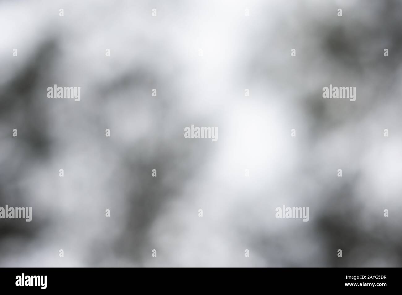 abstract blur black and white background Stock Photo - Alamy