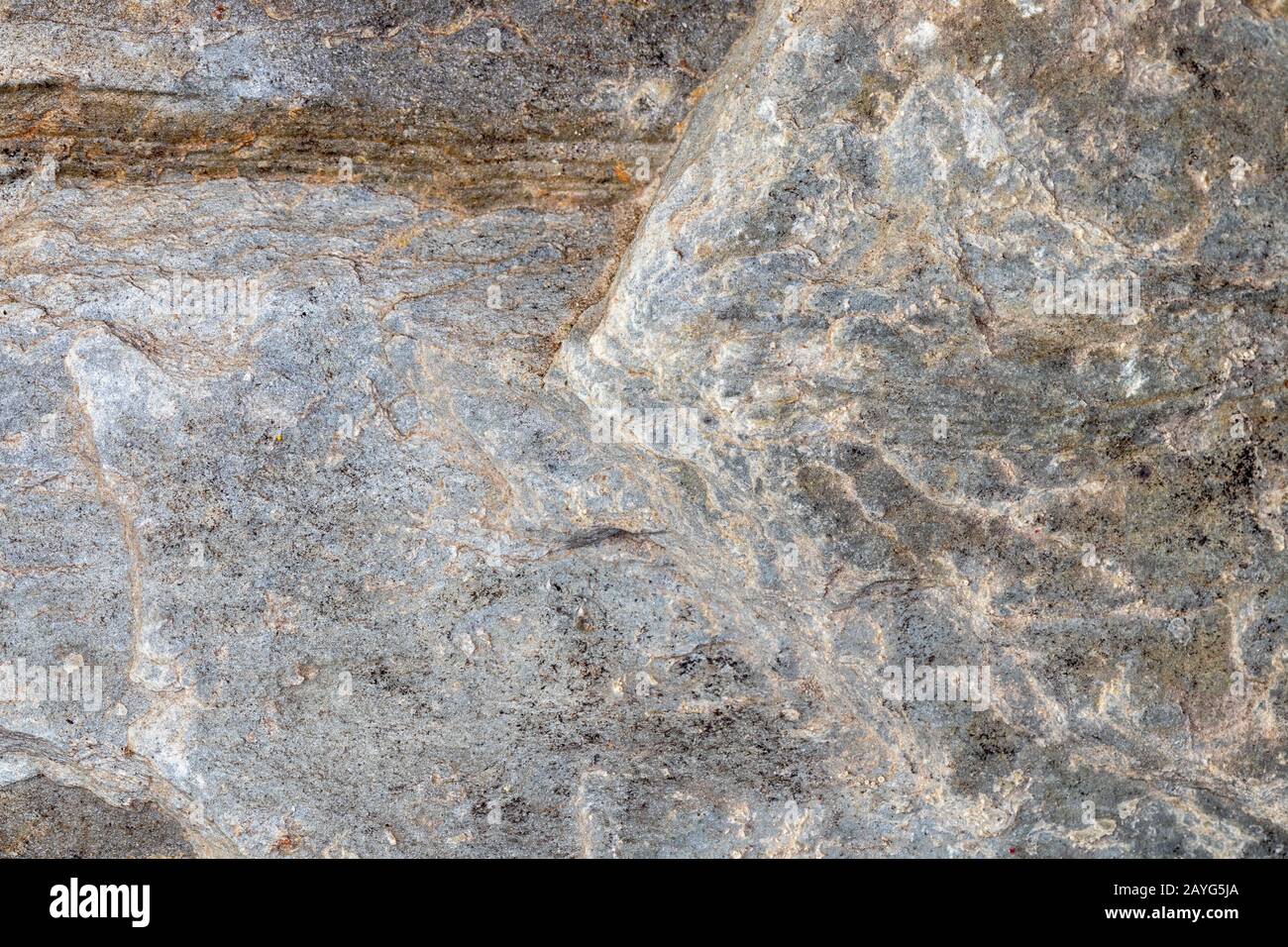 Grey flat textured limestone close up Stock Photo
