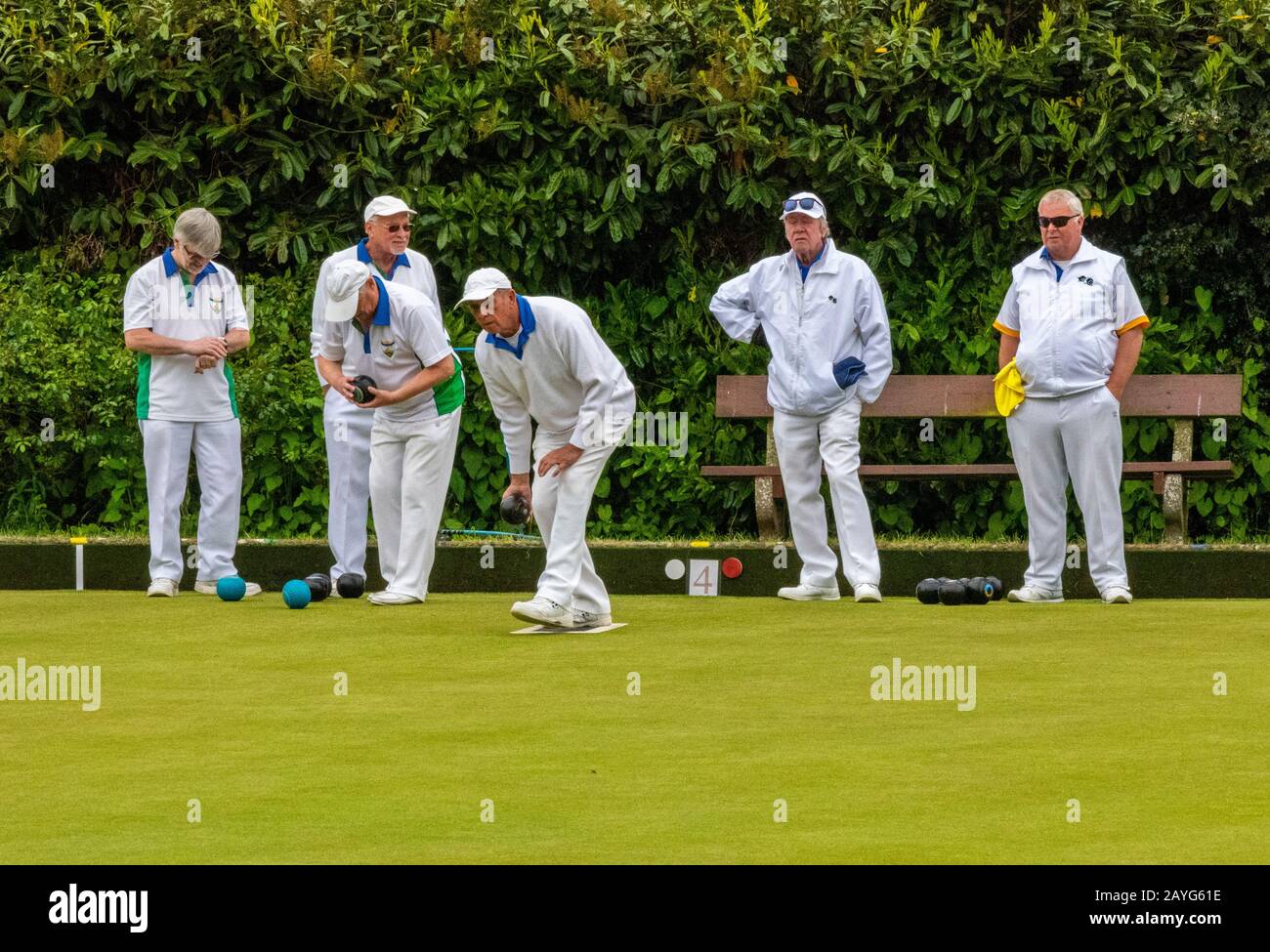 some older or retired men playing bowls on a lawn bowling green in the summer sunshine. Stock Photo