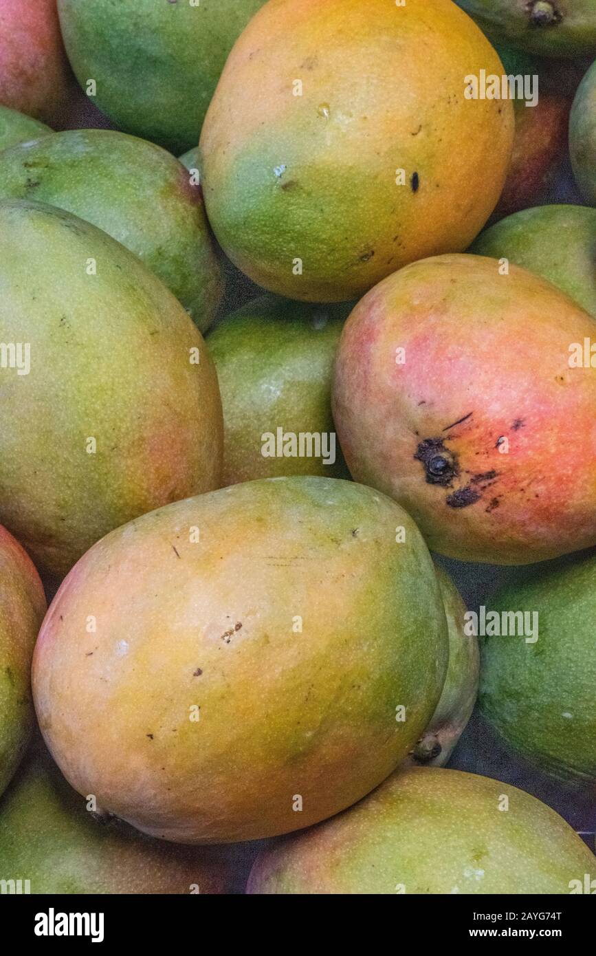 Round mangoes hires stock photography and images Alamy