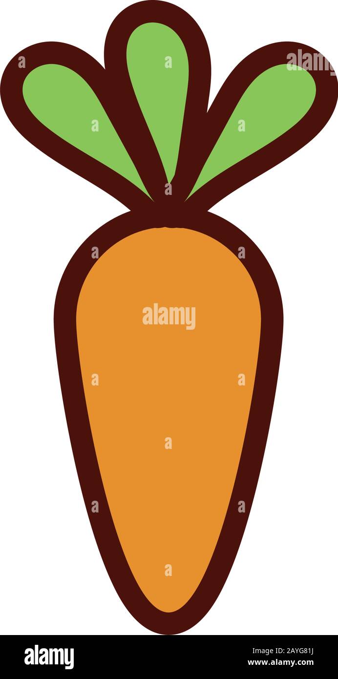 fresh carrot vegetable flat style Stock Vector Image & Art - Alamy