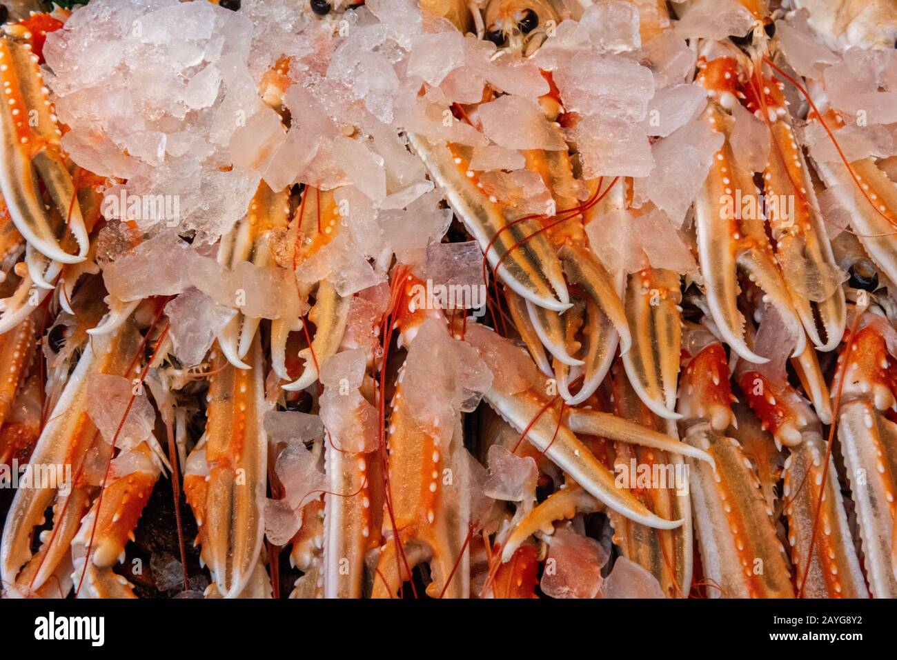 Crayfish freshly caught lobster and shellfish on sale at a seafood