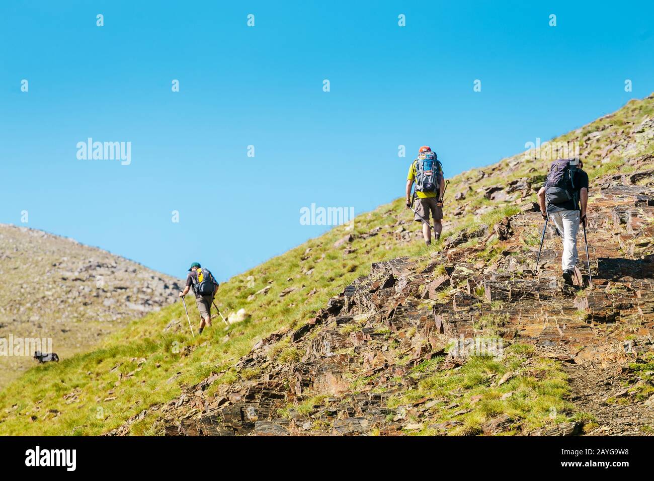 Group hikers walk trail hi-res stock photography and images - Alamy