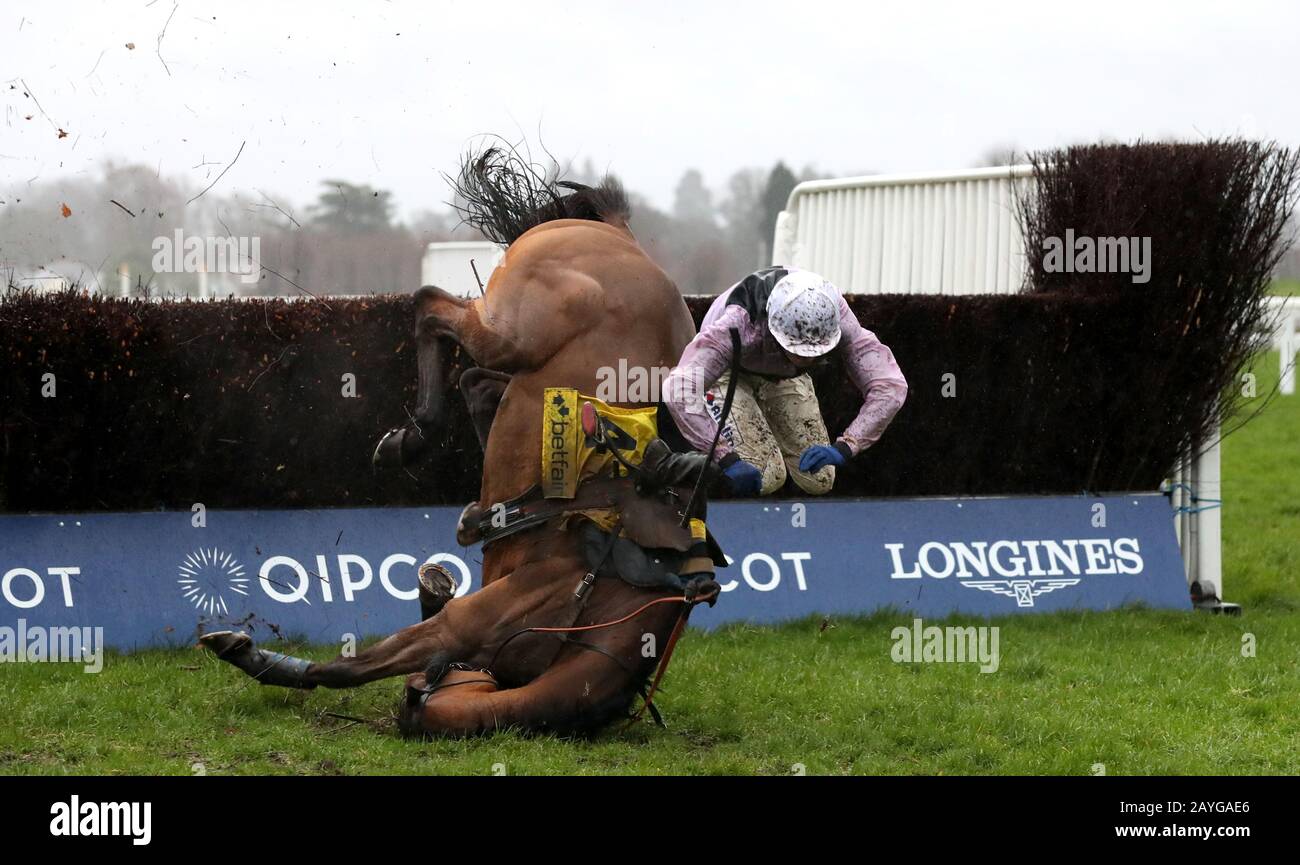 Traffic Fluide ridden by Joshua Moore is a faller in The Betfair Ascot Steeple Chase during Betfair Ascot Chase Raceday at Ascot Racecourse. Stock Photo