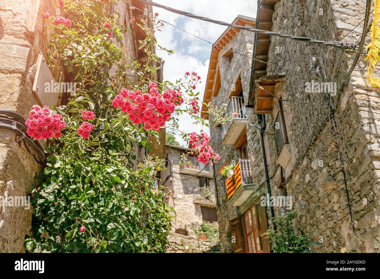 red roses in front of an old wall in medieval village in Spain Stock ...