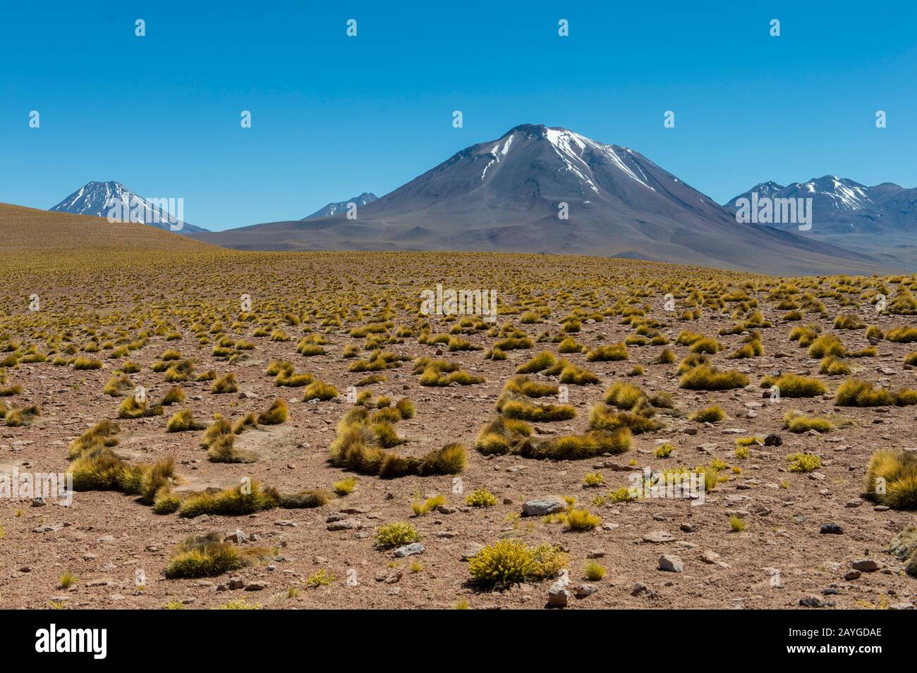 View of Miscanti volcano 5640 m (18,504 ft.) in the Los Flamencos National Reserve near San Pedro de Atacama in the Atacama Desert, northern Chile. Stock Photo