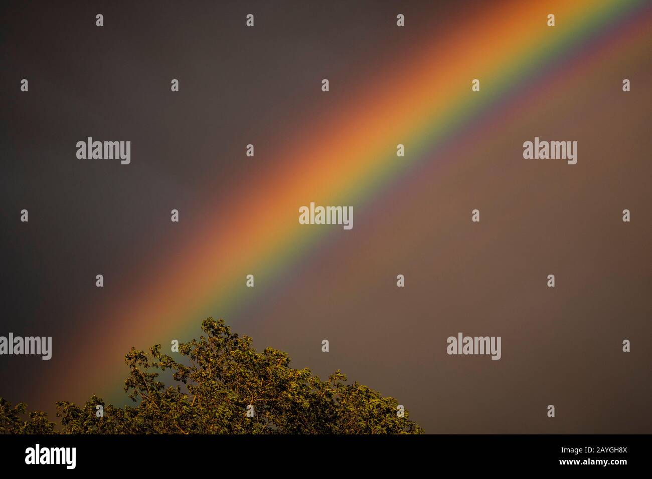 Vivid sky colours hi-res stock photography and images - Alamy