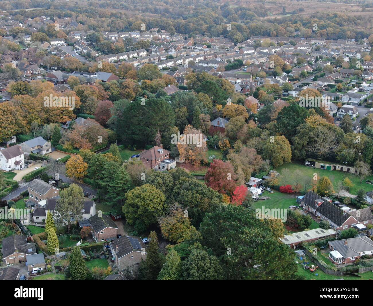 an aerial view of Corfe Mullen in Dorset showing trees in the