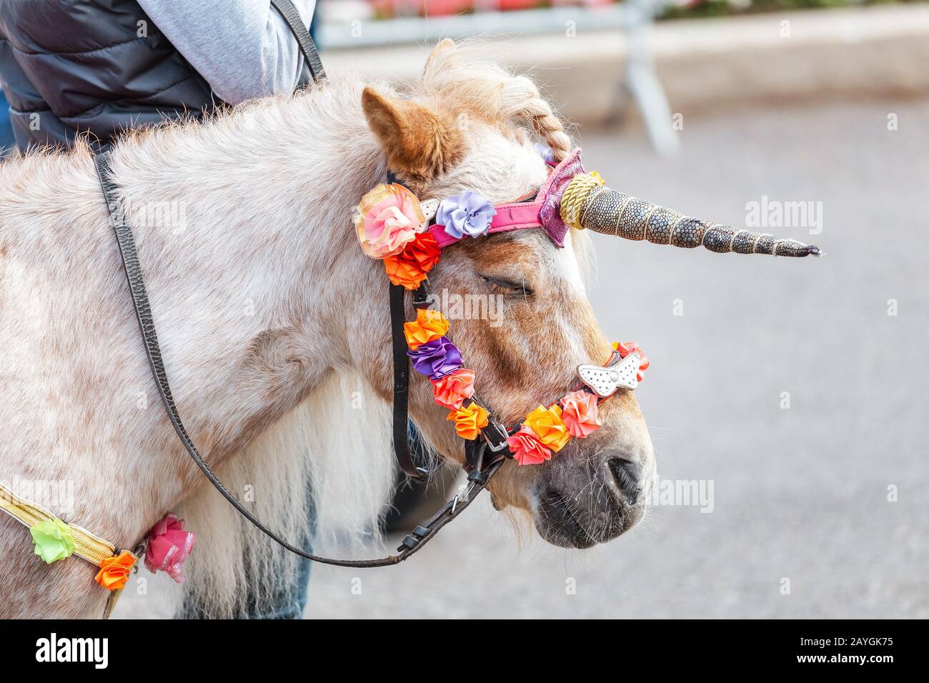 Pony decorated with unicorn horn Stock Photo