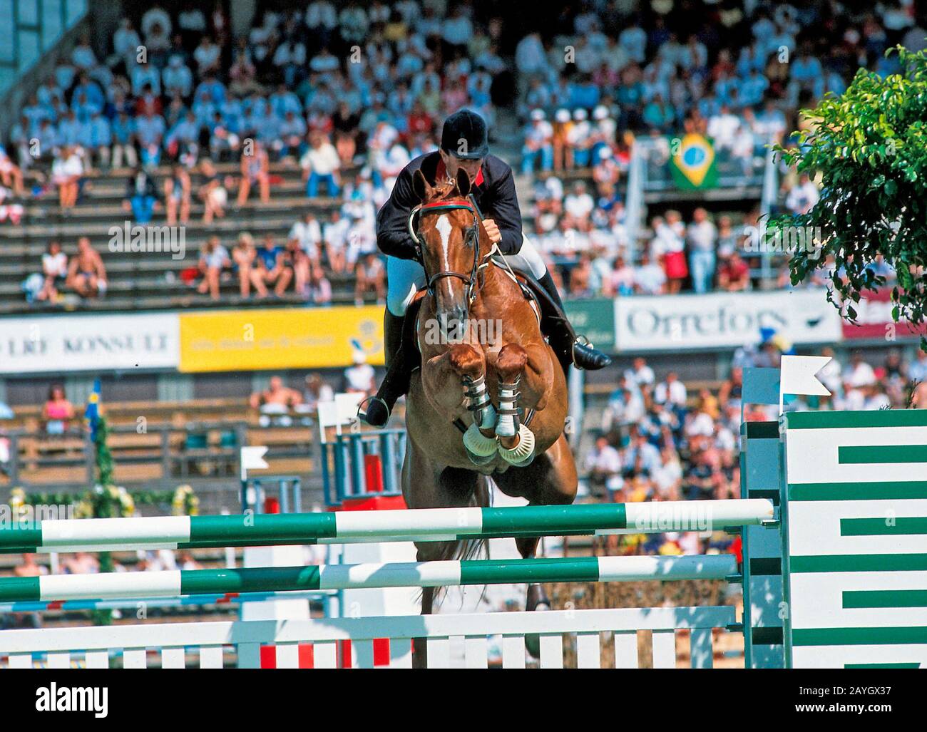 World equestrian games 1990 hires stock photography and images Alamy