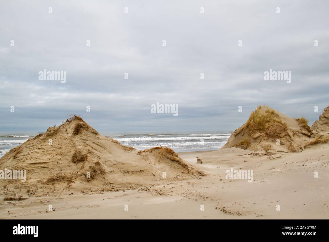 Steep dunes after wave attack, the beech of the Dutch island Terschelling, view on the North Sea Stock Photo