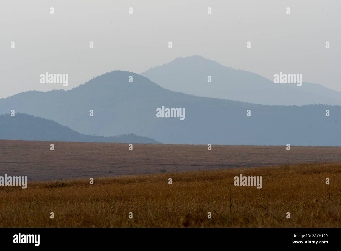 View of the grasslands in the Lewa Wildlife Conservancy in Kenya Stock