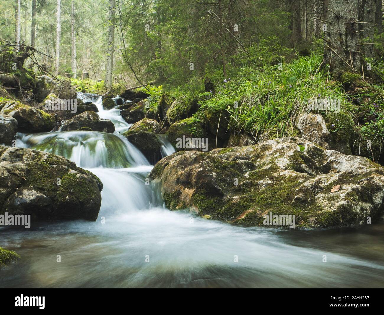 Water flowing around stones hi-res stock photography and images - Alamy