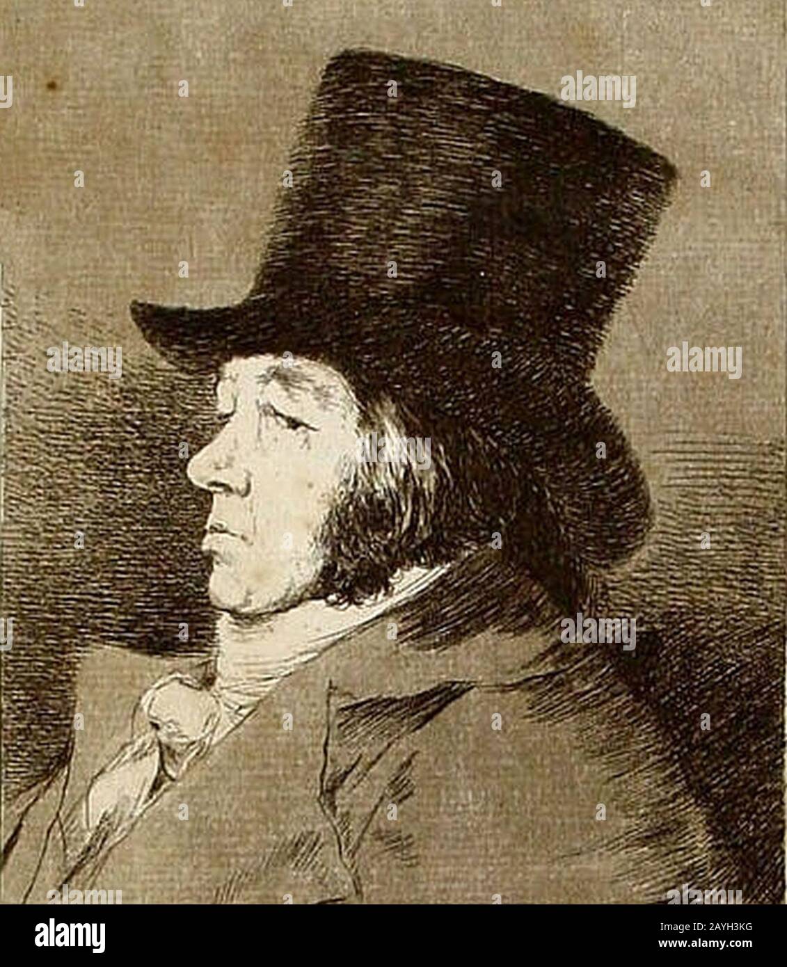 Francisco Goya y Lucientes pintor. Stock Photo