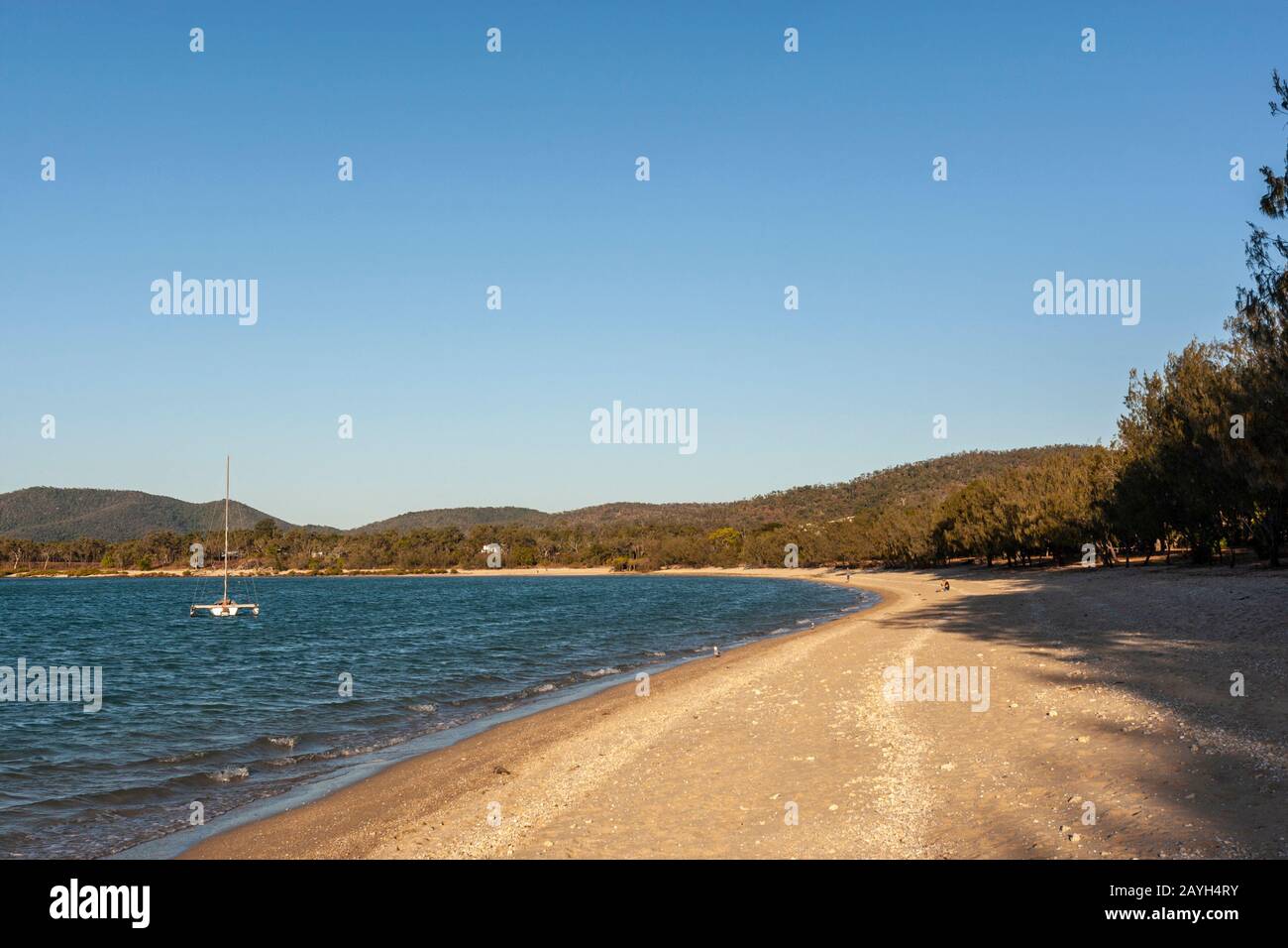Dingo Beach, Queensland, Australia Stock Photo Alamy